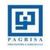 Pagrisa